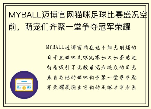 MYBALL迈博官网猫咪足球比赛盛况空前，萌宠们齐聚一堂争夺冠军荣耀